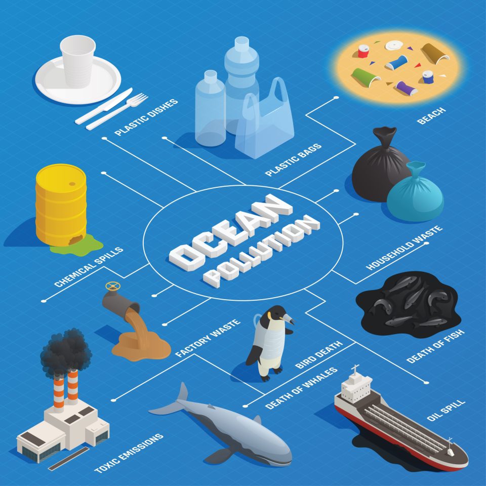 What causes marine pollution. Marine Pollution Causes and its